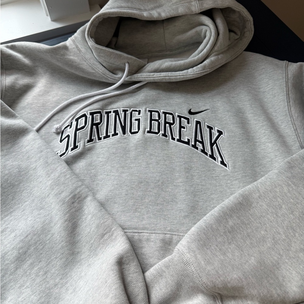 Nike Gray Spring Break SB Hoodie, size XS, Oversized